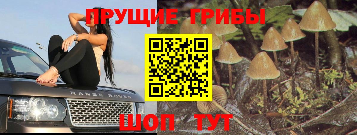Псилоцибиновые грибы Cubensis  Псилоцибиновые грибы мухоморы  Вход с VPN  Лангепас 